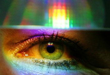 Адам зақымдалған ағзасын табиғи жолмен өз денесінде өсіре ала ма – адам бойынан регенерация гені табылды