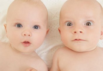 Климаттың өзгеруі болашақ баланың жынысына әсер етуі ықтимал