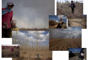 Әлемдегі шөлейттенуге қарсы күресте ең белсенді аймақ