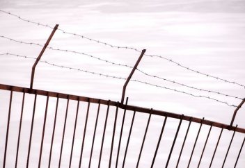 В Узбекистане помиловали 286 осужденных по случаю Дня независимости