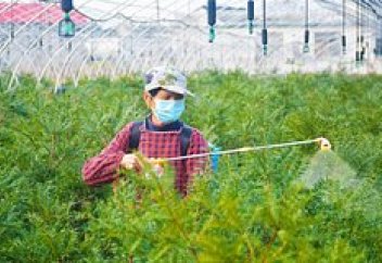 Пестицидті алмастыратын қауіпсіз балама табылды