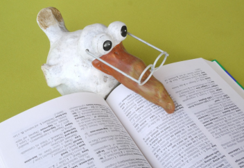 Назван самый подходящий возраст для изучения иностранного языка