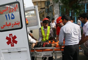 Грибы-убийцы посеяли ужас в Иране