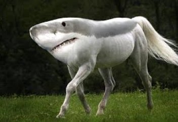 От капибары до крокодила: каких животных продают казахстанцы