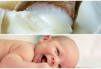 Сәбиді құйрық маймен сылаған дұрыс па? Маман жауап берді