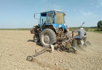 Ауыл шаруашылығын әртараптандыруда бір жерден екі рет өнім алу дамып келеді