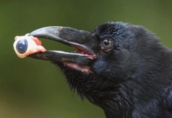 Большая часть стран мира использует китайские технологии ИИ для слежки за гражданами