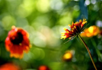 Относится ли к нифасу кровянистые выделения после аборта?