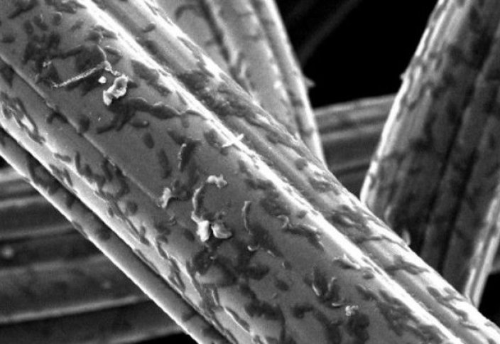 Бактерии вынудили вырабатывать электричество