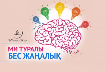 Ми туралы бес жаңалық