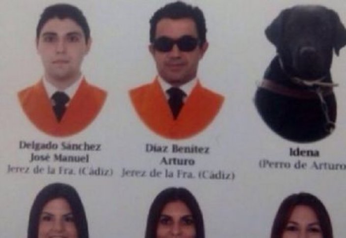 Ит те университет түлегі атанды