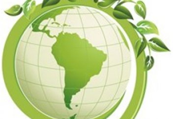 «Зеленый джихад» готовят мусульмане