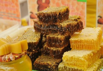 Ғалымдар қазіргі уақыттағы балдың қандай зияны барын анықтап білді