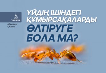 Үйдің ішіндегі құмырсақаларды өлтіруге бола ма?