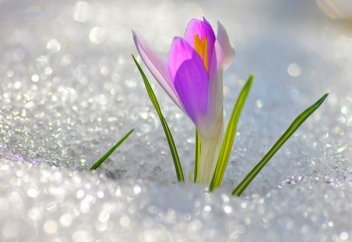 Таңғажайып табиғат: Көктeм (видeо)