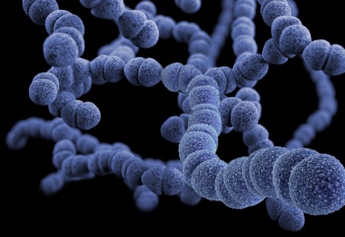Способность серебра убивать бактерии отслежена на молекулярном уровне