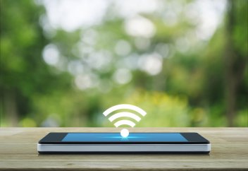 Wi-Fi более опасен для дикой природы, чем считалось ранее