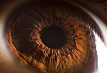 Қоңыртөбел тірліктің қойторысын ерттеп мінген су қараңғы өмір (видео)