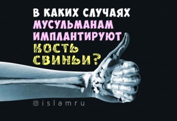 В каких случаях мусульманам имплантируют кость свиньи?