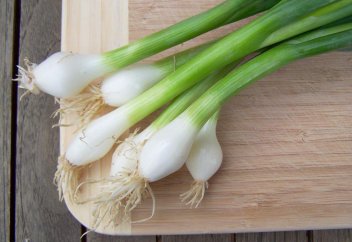 Көк жуаның пайдасы мен зияны