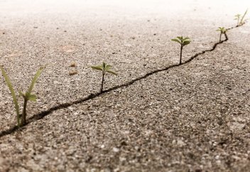 Ученый: человек умирает, чтобы воскреснуть