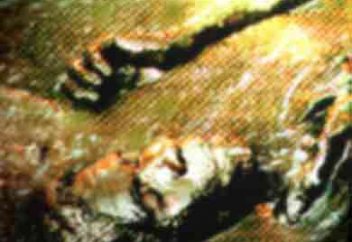 Наконец-то западные ученые признали, что "человек сотворен из глины".