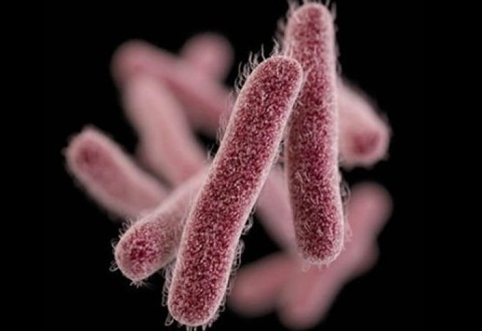 Антибиотикке төзімді бактерияларды жоюдың аса тиімді тәсілі табылды