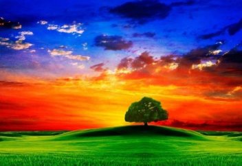 Предопределение, касающееся всего мироздания