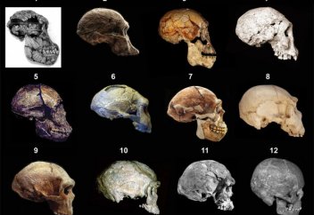 Древние останки разоблачают дарвинизм