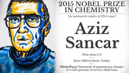 Чем питаются Нобелевские лауреаты?