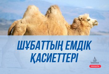 Шұбаттың емдік қасиеттері