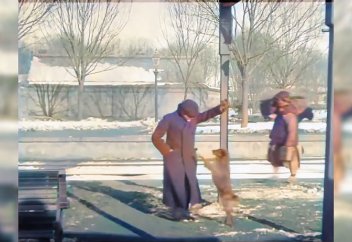 Видео: Старый Китай — удивительные кадры, снятые в Пекине 100 лет назад