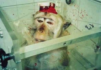 Жануарды қорғау – жұмағың, қорлау – тозағың