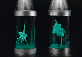 Живая смерть: что такое биологическое оружие