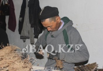 ОҚО шаруалары жүзім көшетін сақтаудың жаңа әдісін ойлап тапты (фото)