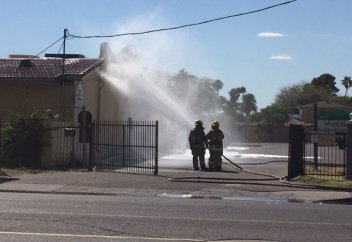 Мешітке аралар шабуыл жасады (Фото)