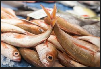 Теңіз өнімдері экологиялық таза азық-түлік түрлеріне жатқызылды