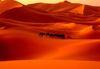 Уруа ибн Зүбәйір (р.а.)