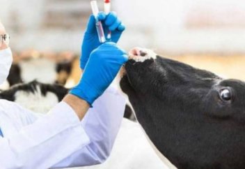 Ветеринарные инспекторы могут делать фото и видео проверок