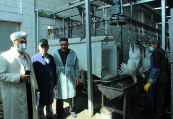 Павлодар: Құс фабрикасына халал сертификаты берілді