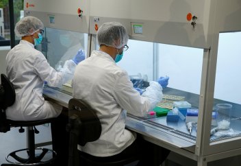 Адам ағзасының қажетті жеріне дәрі жеткізетін шағын робот жасалды