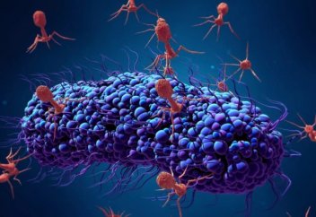 Антибиотикке төзімді бактериялармен күресудің жолы табылды