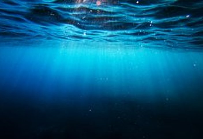 Океаны стремительно теряют солнечный свет (ВИДЕО)