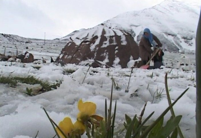 Жителей иранского города Мешкиншахр удивил летний снег