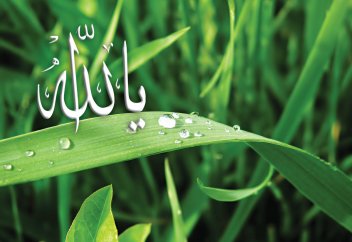 Природа и ее законы не могут быть Творцами