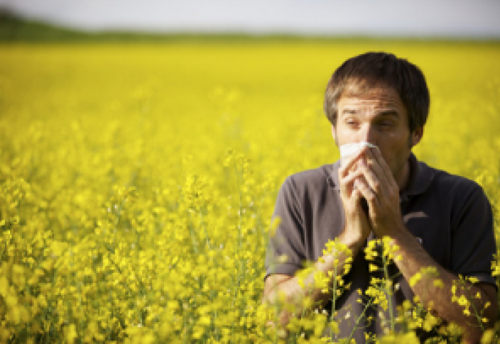 Врачи рассказали, как облегчить жизнь при аллергии на пыльцу