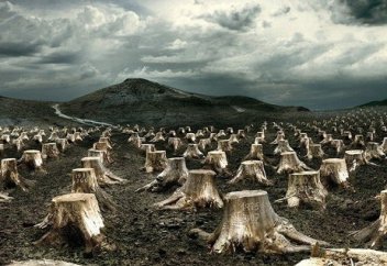 Орман-тоғайдың оталуы аурулардың таралуына себеп болады