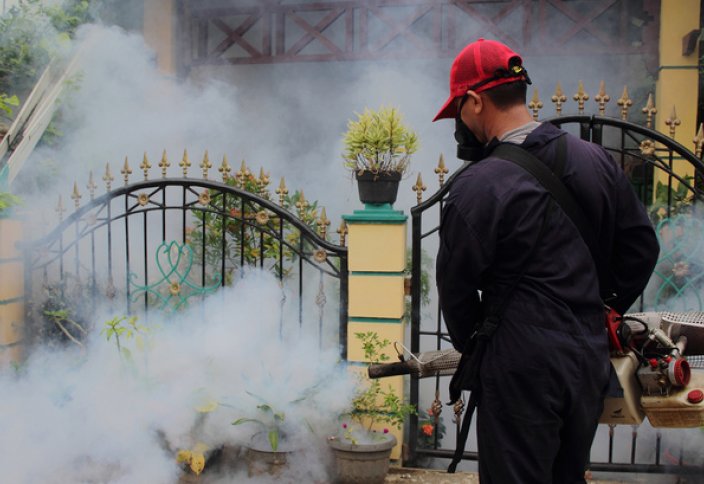 В 2018 году во Вьетнаме более 21 тысячи человек заболели лихорадкой Денге