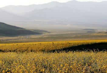 Ғаламшардағы ең ыстық жерлердің бірі - Мохава шөліндегі ғажайып (ФОТО, ВИДЕО)