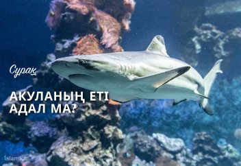 Акуланың етін жеуге бола ма?